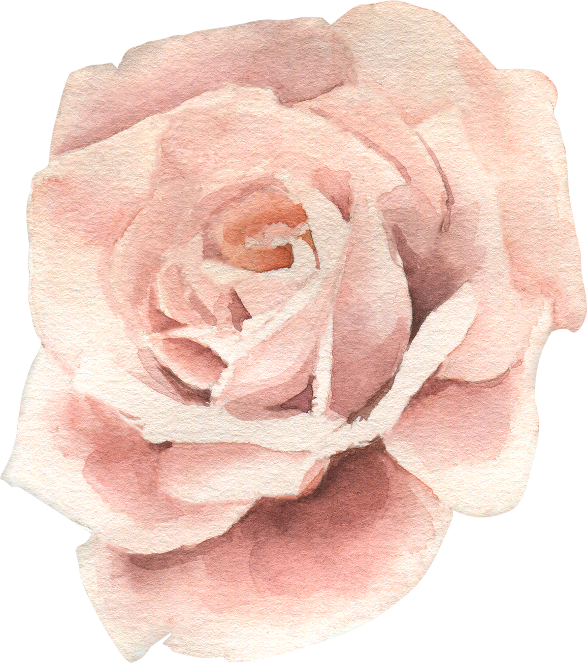 Watercolor Flower Illustration