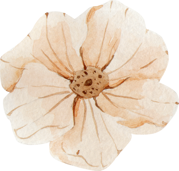 Beige Flower Watercolor